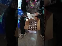 Επικάλυψη από ελαστικό